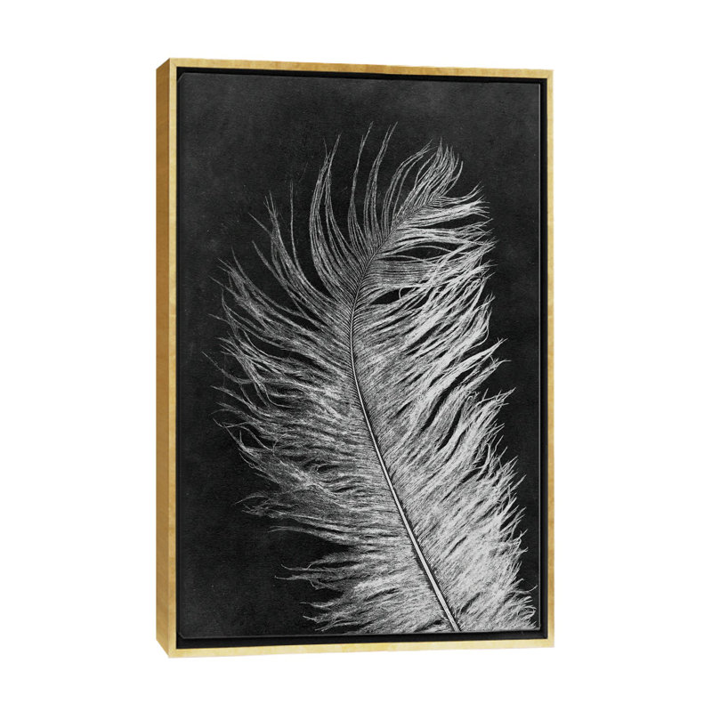 «Feather III Dark», reproduction d'art murale encadrée, Reproduction encadrée sans passe-partout, H 60 po x l 40 po, Doré