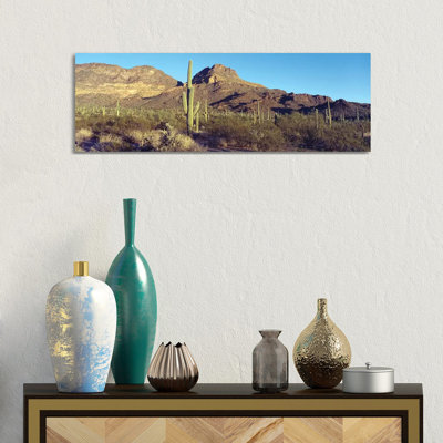Cactus In A Desert, Organ Pipe Cactus National Park, Arizona, USA by Panoramic Images - Wrapped Canvas Panoramic Print