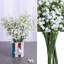 Arrangement floral Baby's Breath-1070477539-1070477547