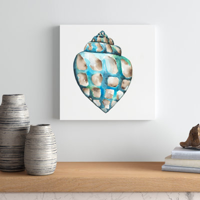 Aquarelle Shells V by Chariklia Zarris - Wrapped Canvas Painting