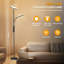 Denija 175cm Torchiere Floor Lamp