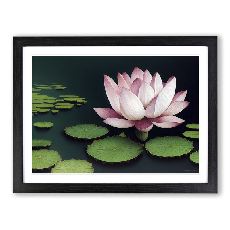 Effervescent Lotus Flower - Single Picture Frame Painting, 46cm H x 64cm W x 2cm D, Black