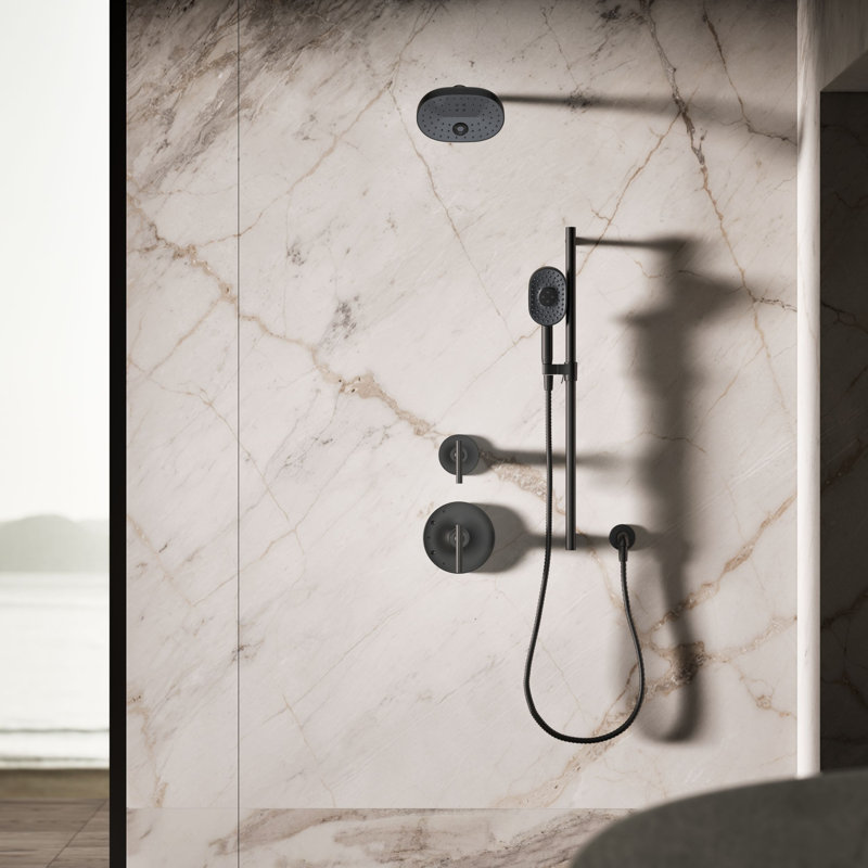 Statement 2.5 GPM Oval Multifunction Handshower With Katalyst Air-Induction Technology, Matte Black