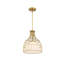 Luminaire suspendu en forme de cloche 1 lumière Aukerman 60 watts avec abat-jour en verre opale gravé et cage extérieure en métal-1119005712-1119005714
