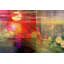 Parvez Taj - Wrapped Canvas Print-12309280