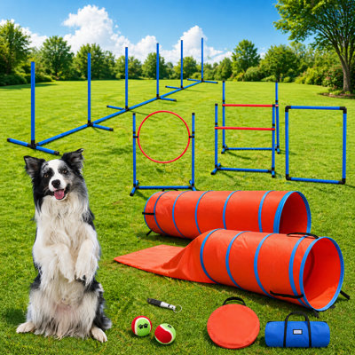Ensemble complet d'équipement de course pour chien avec haie réglable, tunnel et mâts de tissage