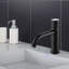 Robinet pour salle de bain à un trou