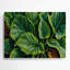 Art mural en métal vert légumes et ortie-1069482140