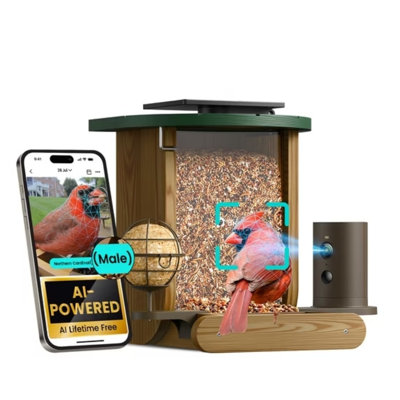 Pole Hopper and Suet Bird Feeder