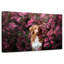 Toller dans le jardin-2052737231