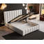 Emiljan Velvet Upholstered Bed-1880308459-1880308435