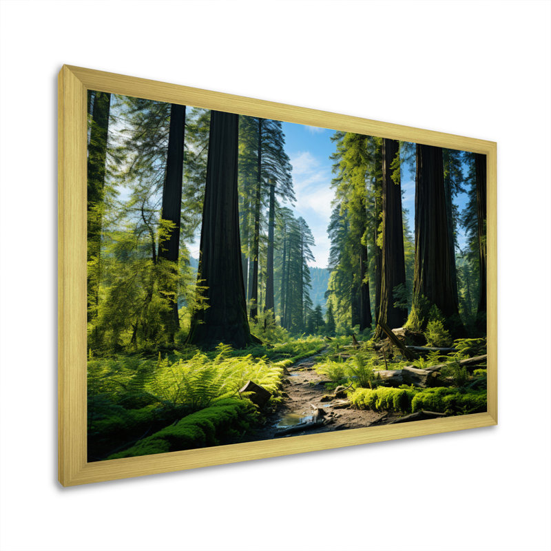 «Redwood Giants Tree Forest II», reproduction d'art sur toile, H 34 po x l 44 po x P 1,5 po, Or