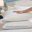 Duvet-131431646