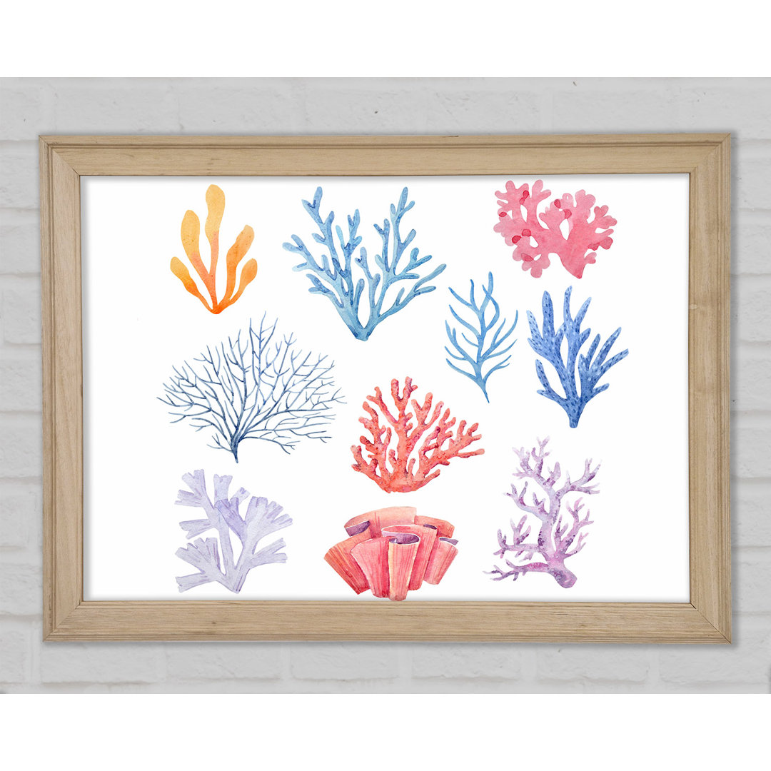 Gerahmtes Leinwandbild Sea Life Coral