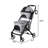 Deluxe Double Decker Stroller-89794151