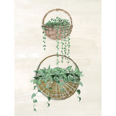 " Greenery In Baskets "