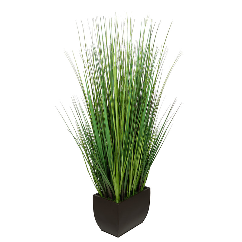 Herbe à feuillage en pot 50 po, Brun mat