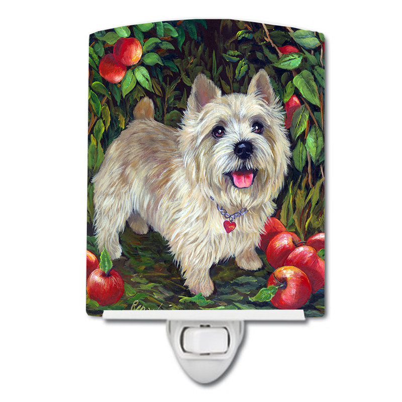 Veilleuse Westie, Cairn terrier pommes