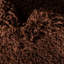 Tapis brun chocolat Caputto-165829879-262790435