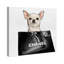 Chihuahua Glam - Impression sur toile-62043706