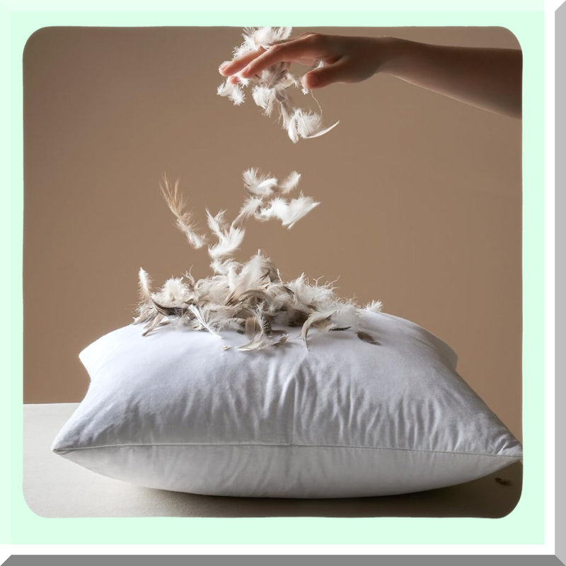 Fluffy Throw Pillow Inserts - Pack of 2 for Living Room Sofa Bed - Decorative Down Pillows - Fluffy Cushion Inserts