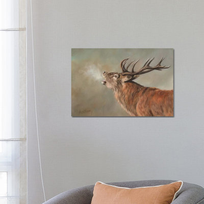Red Deer Stag Early Morning by David Stribbling - Wrapped Canvas Print