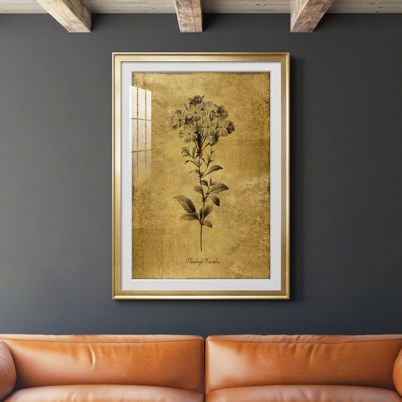 " Gold Sketch Botanical II " Painting Print, Gold, 36.5" H x 26.5" W x 1.5" D