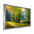 Impression argent sur toile encadrée