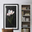 Master Botanical I - Reproduction d'art graphique sur papier encadré-588601544-588601545