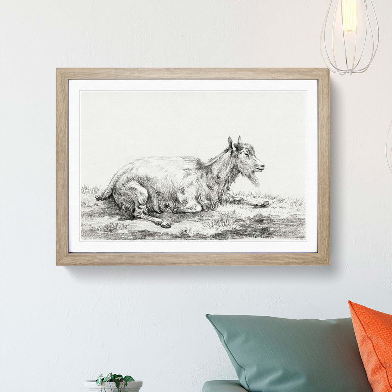 Resting Goat by Jean Bernard - Picture Frame Drawing Print, 27cm H x 36cm W x 2cm D, Oak Framed
