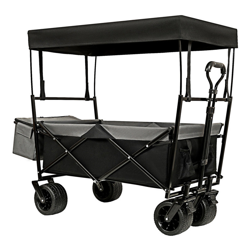 Collapsible Foldable Wagon With Canopy, Black