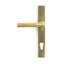 Brompton Multipoint Lock Door Handle