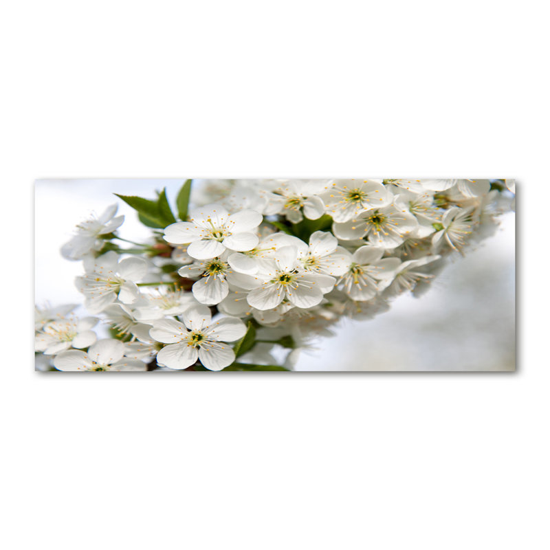 Cherry Blossoms - No Frame Print on Canvas