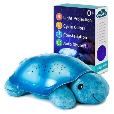 Tortue du crépuscule