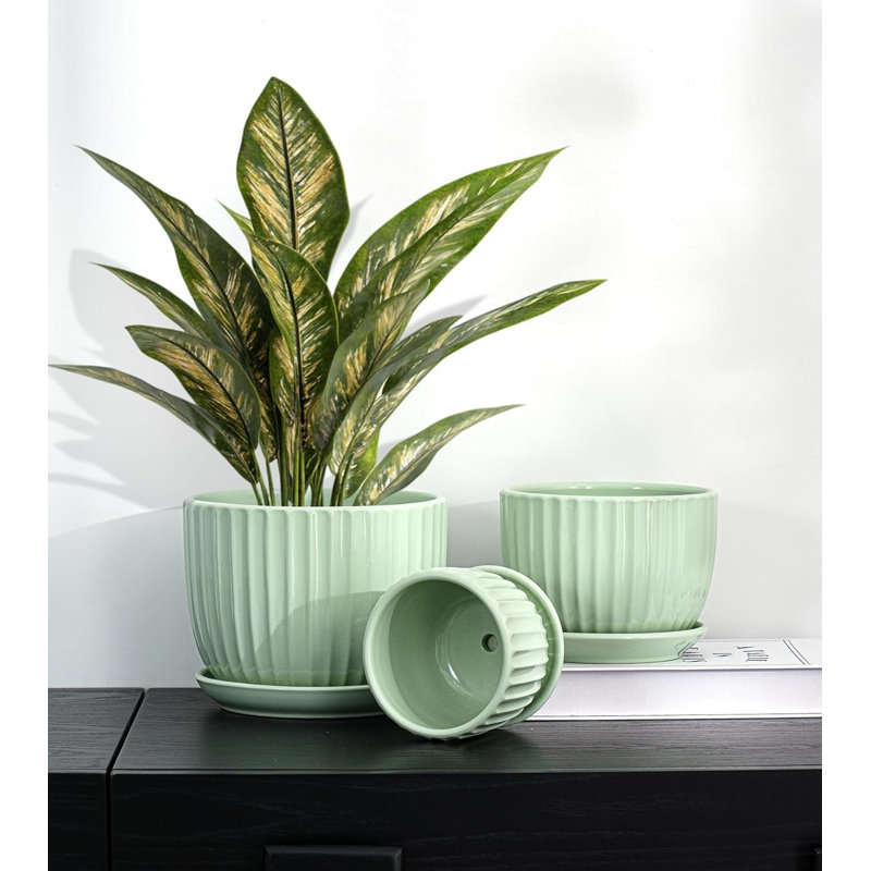 Ensemble de 3 pots à fleurs en céramique (4 5/6 po) vert clair