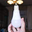 Adaptateur de douille d’ampoule candélabre à lampe standard