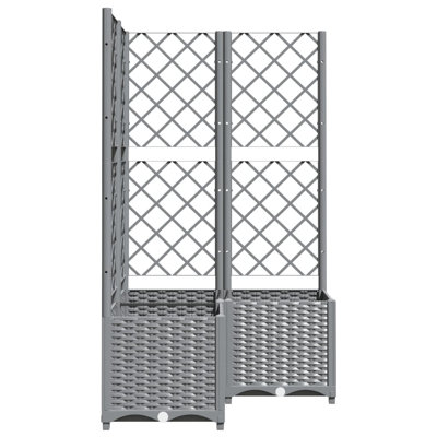 Chanique Raised Garden Bed with Trellis