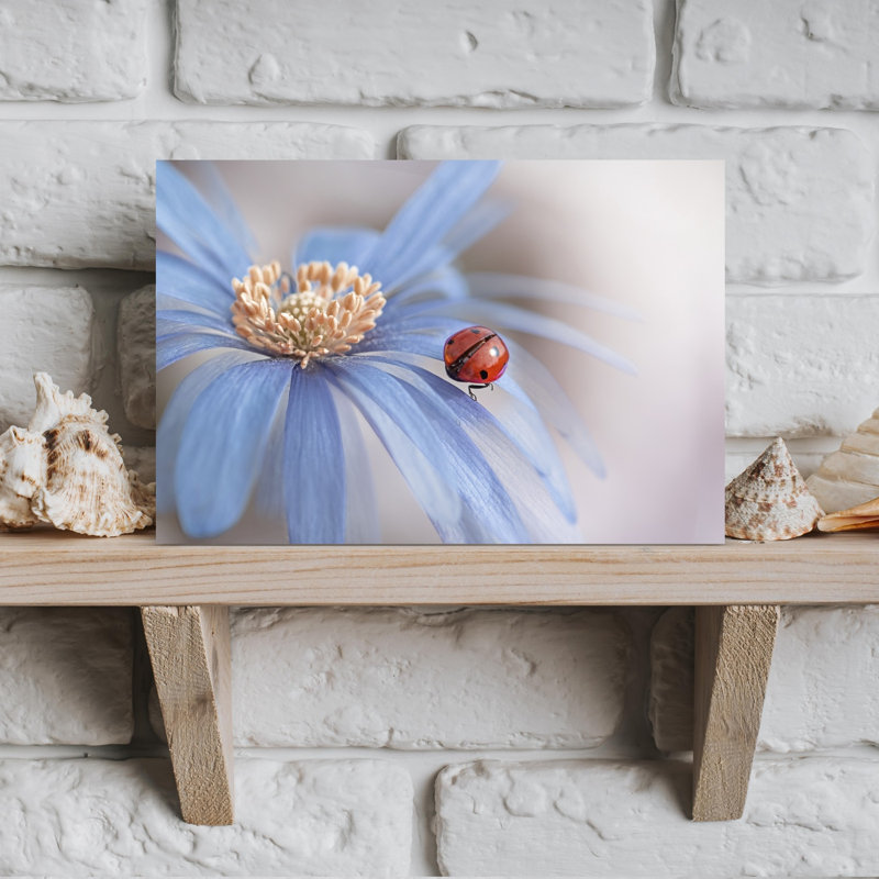 Red Ladybug Blue Flower Delicate Vibrant Ladybug Flower Nature Wall Art Print by Jacky Parker - Print, 30.48cm H x 45.72cm W