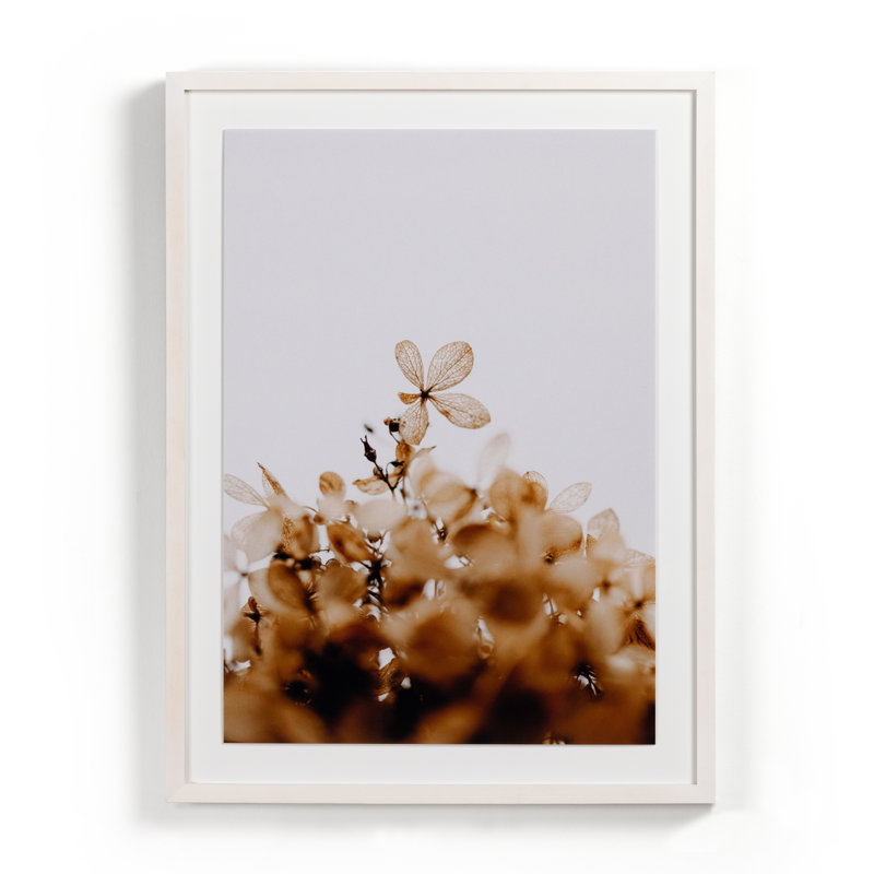 Greetings Print by Annie Spratt