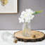 Glass Decorative Bottle-951906780