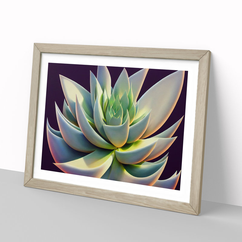 Ravishing Succulent Plant - Single Picture Frame Print, 25cm H x 34cm W x 2cm D, Oak Framed