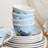 Coastal Birds Ice Cream Bowls Set of 4, Ceramic 5.25" Assorted artist-designed Shore Birds, Blue Sky Wetland Scenes, Dishwasher Safe Coastal Dessert Bowls