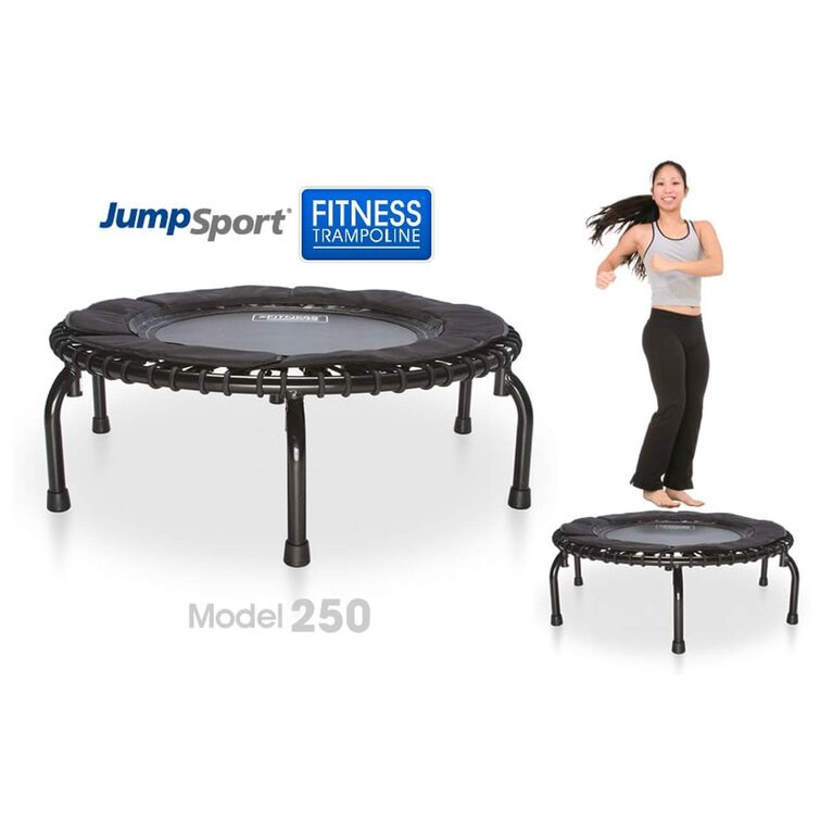 JumpSport Mini trampoline JumpSport 250 et Commentaires - Wayfair Canada
