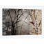 «Silver Whispers II» par Edward Aparicio, reproduction sur toile tendue-28198996-71514310