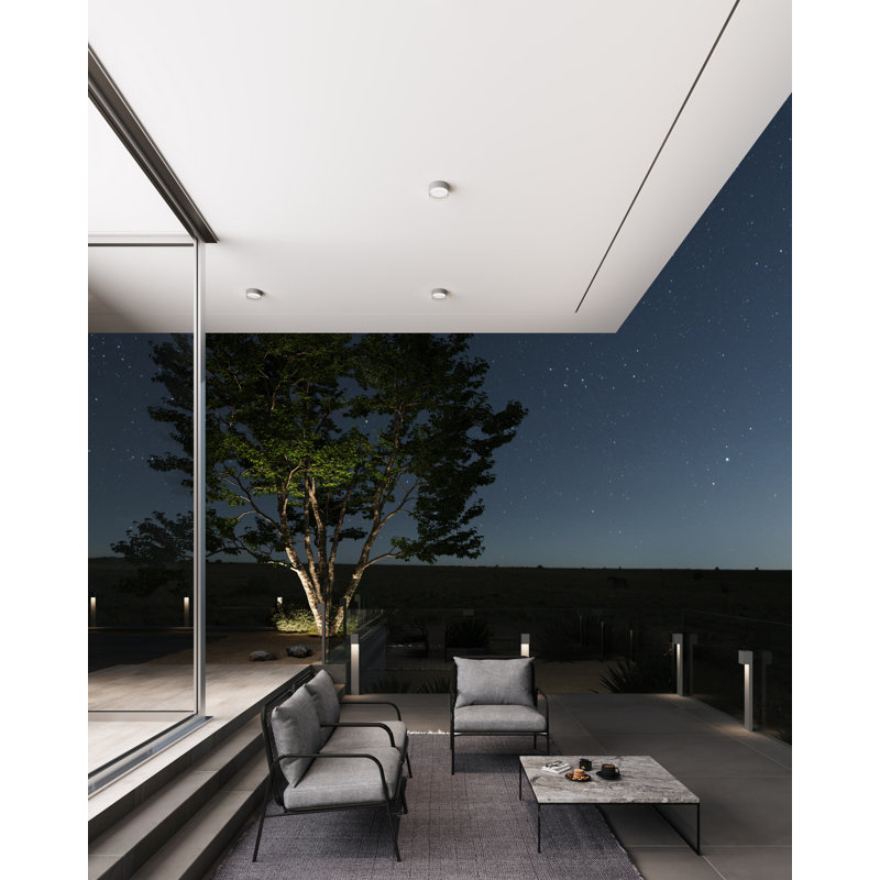 Reals 1 - Light LED Flush Mount, Gray, Clear