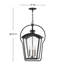 Yale 3 - Light Large Hanging Lantern