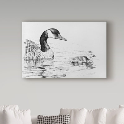 Armstrong 'Canada Goose And Baby' Graphic Art Print on Wrapped Canvas