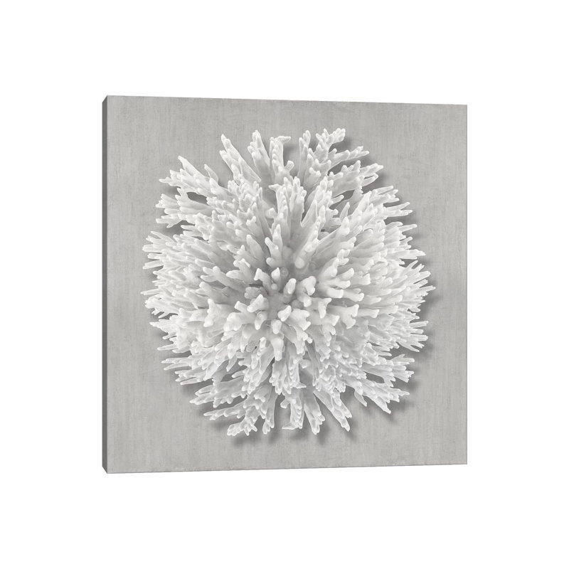 Coral On Gray I by Caroline Kelly - Wrapped Canvas Print, 45.72 cm H x 45.72 cm W x 1.91 cm D