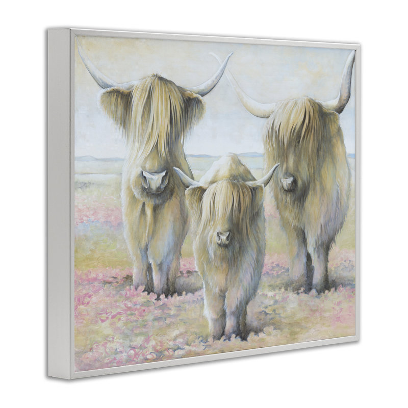 Trio de bovins doux par estampe numérique par White Ladder, Estampe numérique encadrée blanc bord de mer, H 24 po x l 30 po
