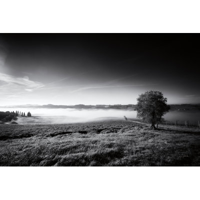 Valley Fog 1 Piece Wrapped Canvas Wall Art